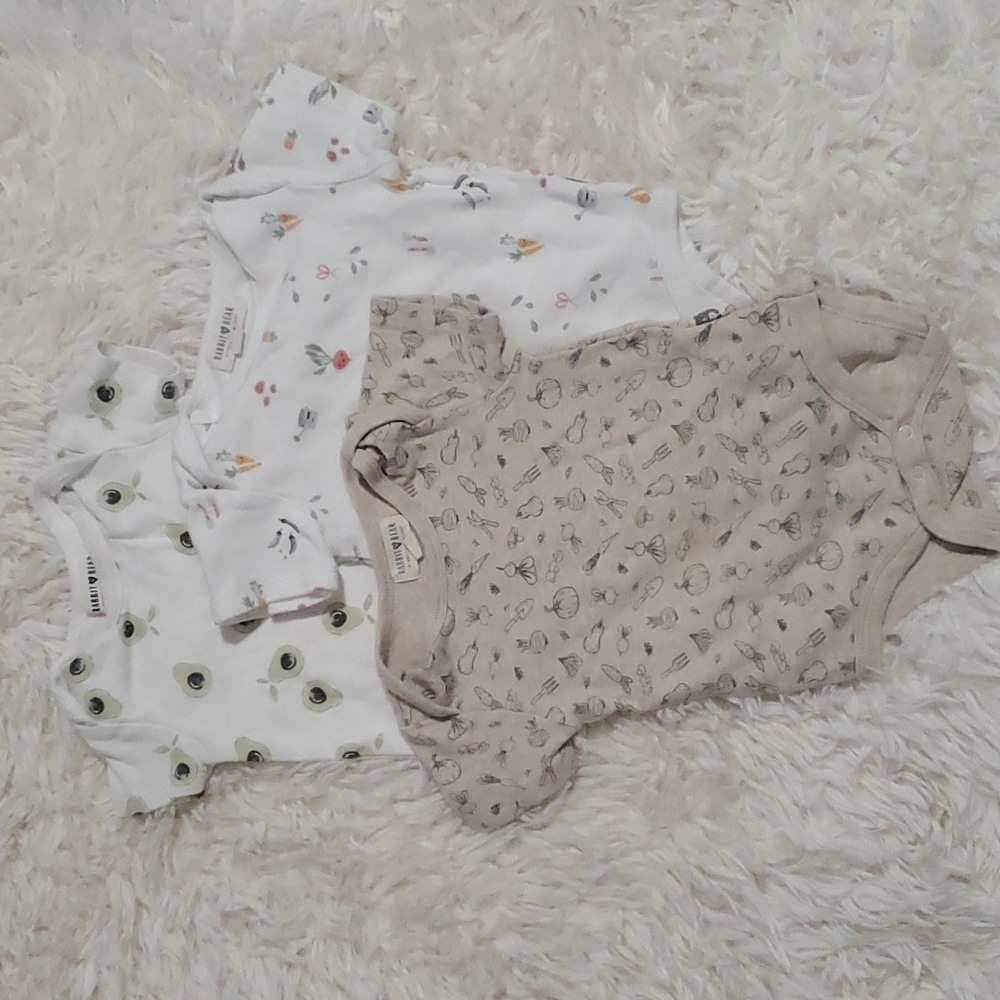 Vegetable Bodysuit 4 Pack